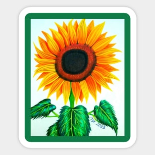 Firecracker Sunflower Sticker